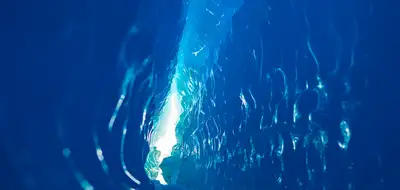 White Desert: Baby Penguins and Blue Tunnels