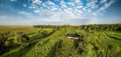 Elewana Elephant Pepper Camp