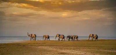 Connected Adventure in Northern Tanzania