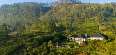 Camellia Hills