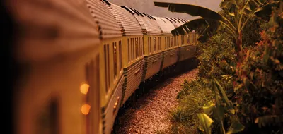 Wild Malaysia with Eastern & Oriental Express