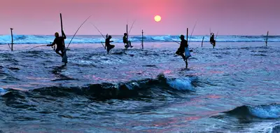 Sri Lanka: Wildlife, Wonders & Coast