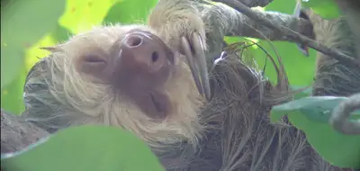 Rainforest, Rivers & Remote Wilderness