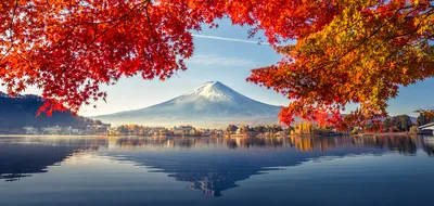 Japanese Dawn
