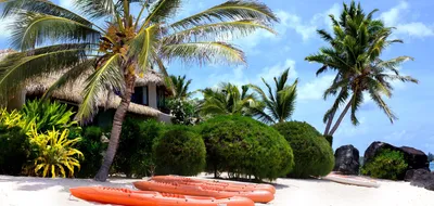A Family Adventure, New Zealand & the Cook Islands
