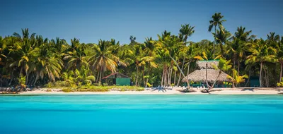 The Best of the Caribbean